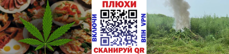 дарнет шоп  kraken ССЫЛКА  даркнет официальный сайт  Шагонар  Печенье с ТГК марихуана 