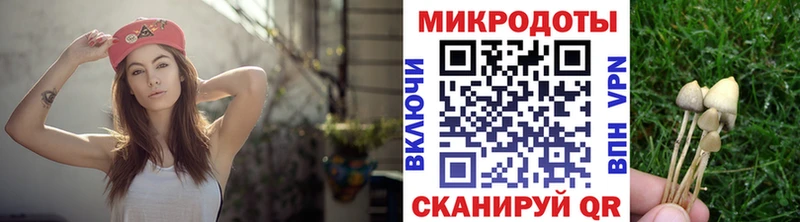 Псилоцибиновые грибы Cubensis  MEGA рабочий сайт  Шагонар 